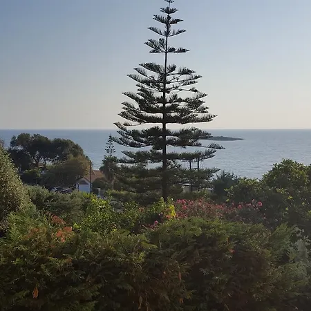 G.anagnostopoulos * Agios Andreas (Elis)