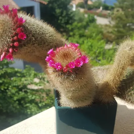 G.anagnostopoulos Casa de Férias