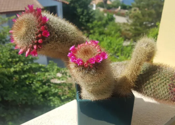 G.anagnostopoulos Nyaraló